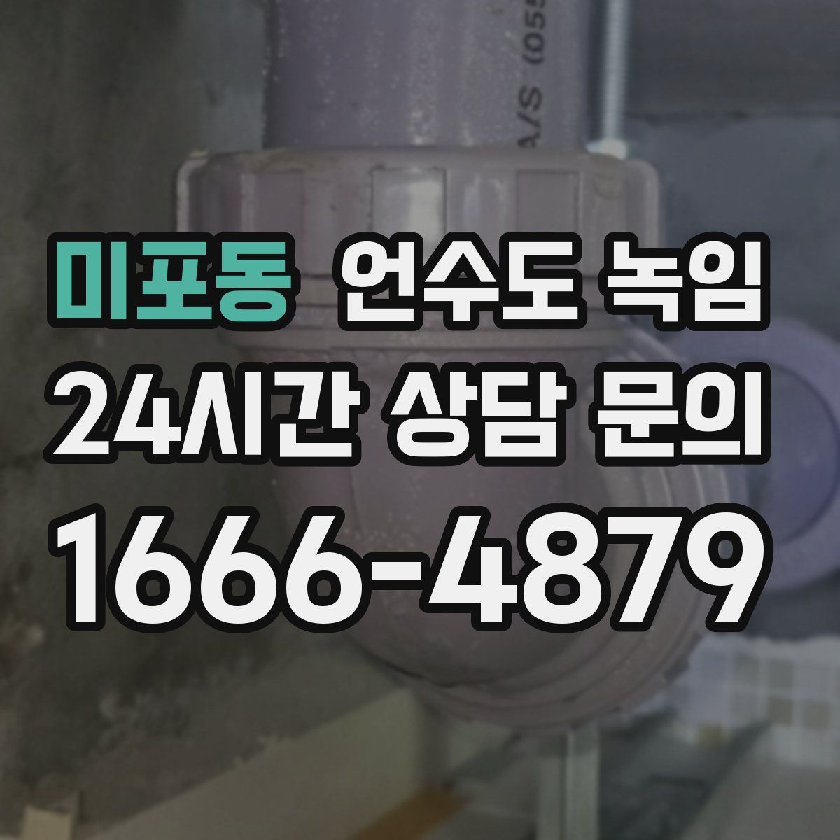 미포동 언수도 녹임