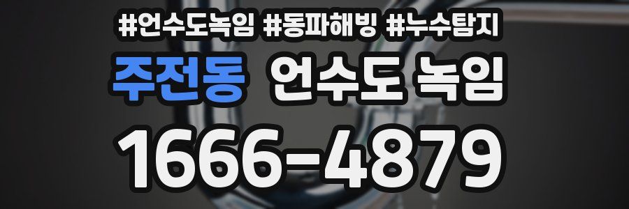 주전동 언수도 녹임