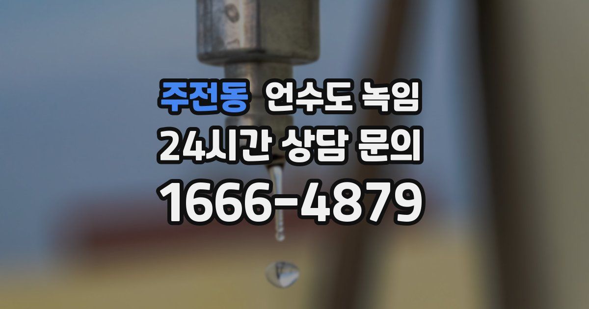 주전동 언수도 녹임