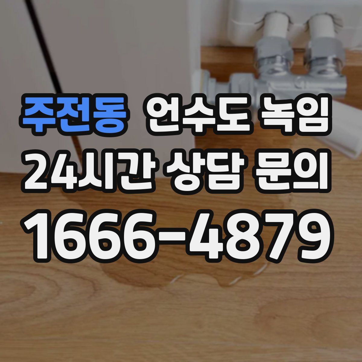 주전동 언수도 녹임