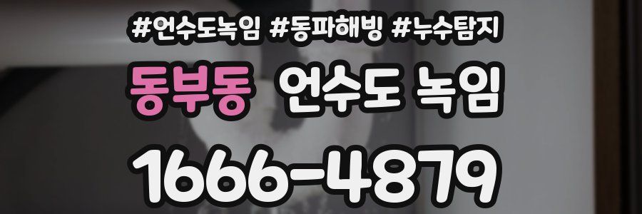 동부동 언수도 녹임