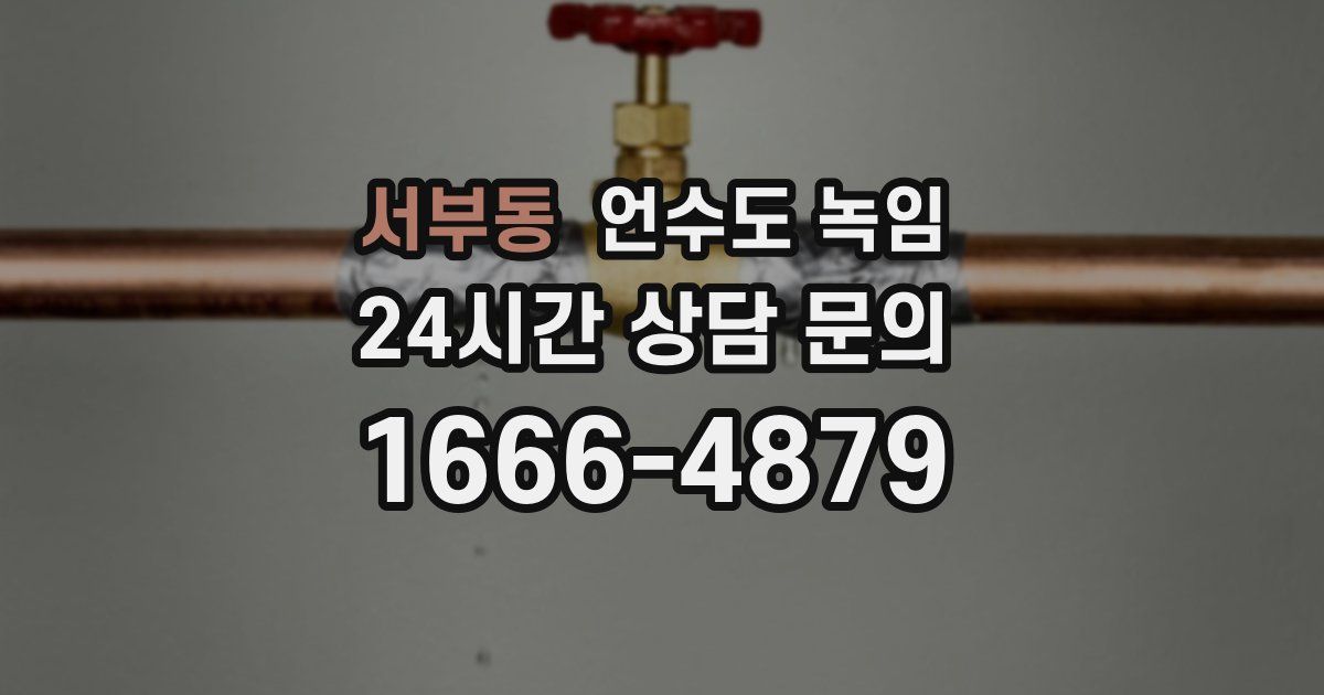 서부동 언수도 녹임