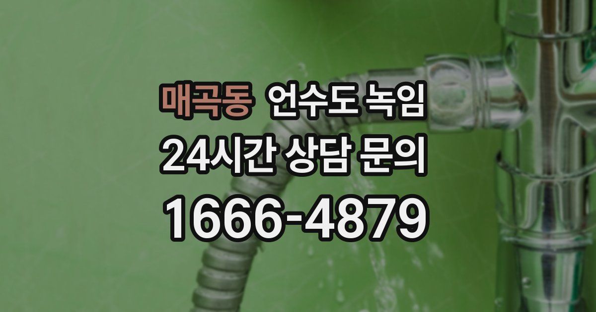 매곡동 언수도 녹임