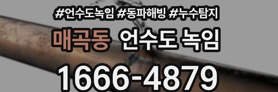 매곡동 언수도 녹임