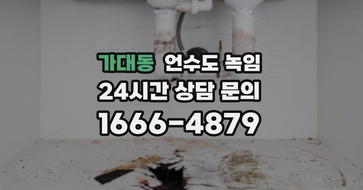 가대동 언수도 녹임
