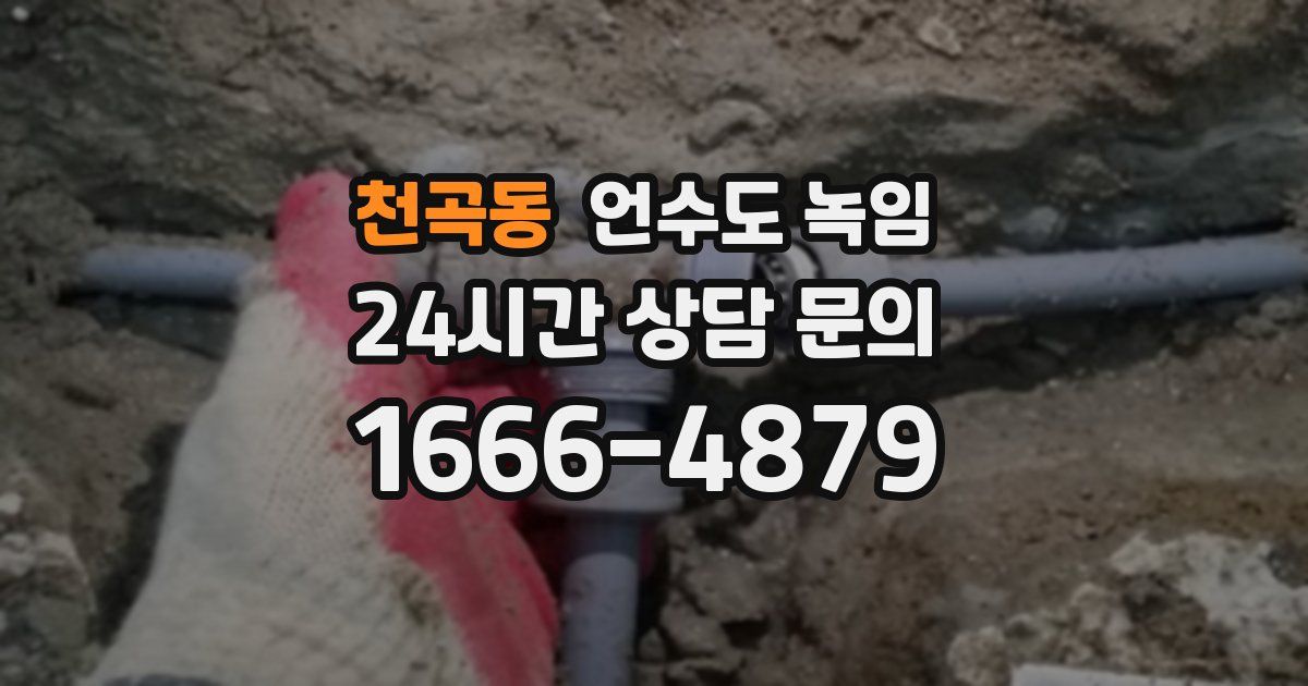 천곡동 언수도 녹임