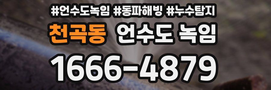 천곡동 언수도 녹임