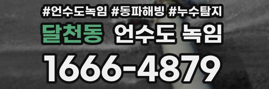 달천동 언수도 녹임