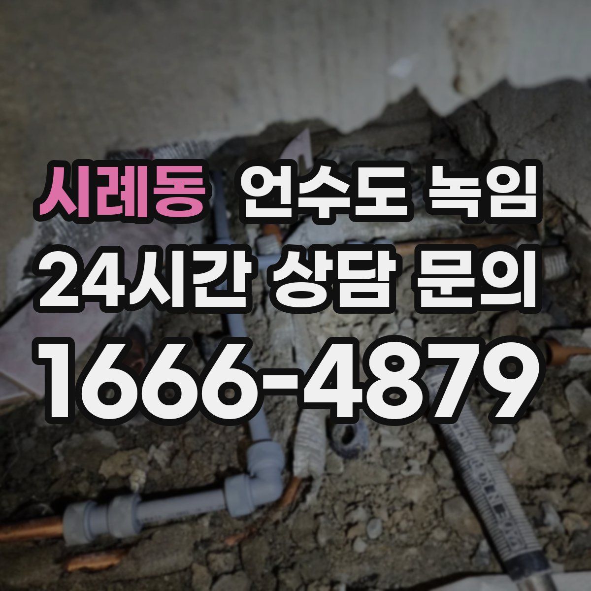 시례동 언수도 녹임