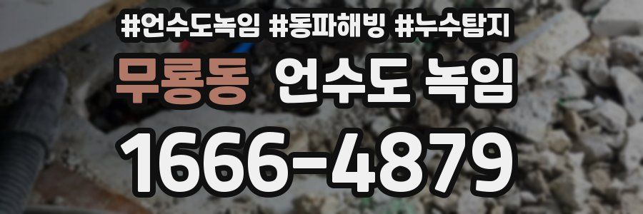 무룡동 언수도 녹임