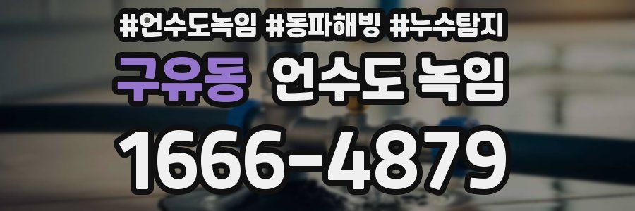 구유동 언수도 녹임