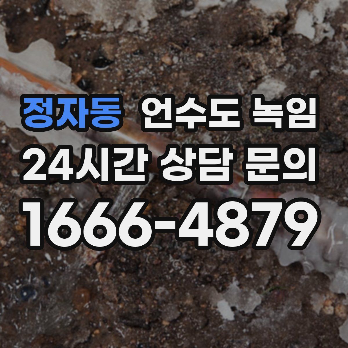 정자동 언수도 녹임