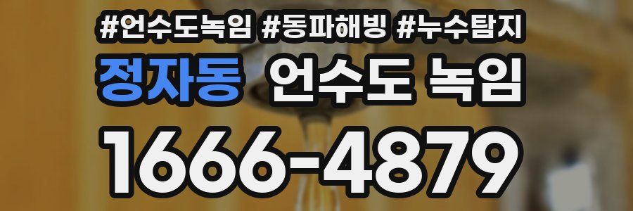 정자동 언수도 녹임