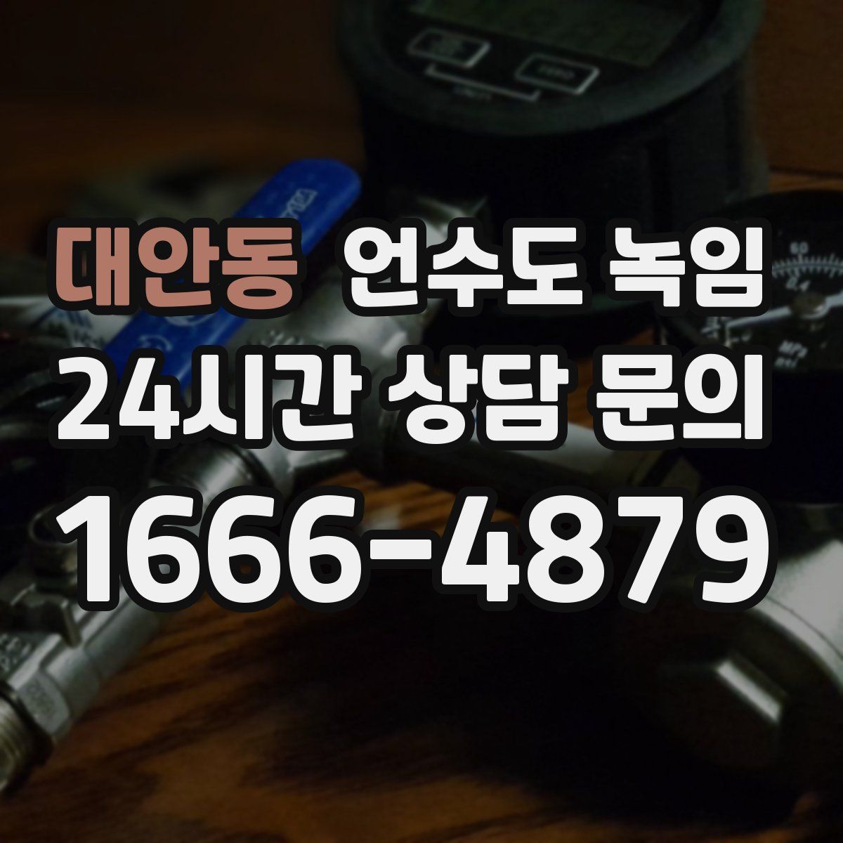 대안동 언수도 녹임