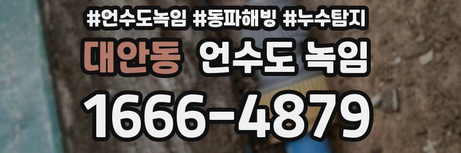 대안동 언수도 녹임