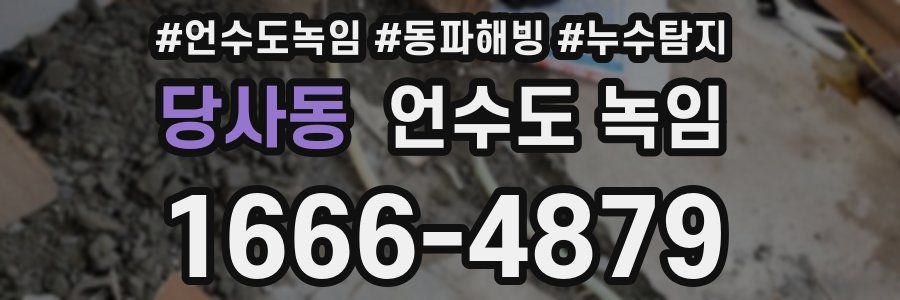 당사동 언수도 녹임