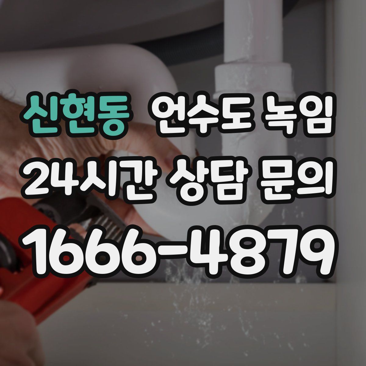 신현동 언수도 녹임