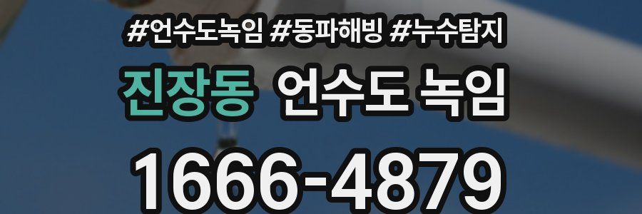 진장동 언수도 녹임