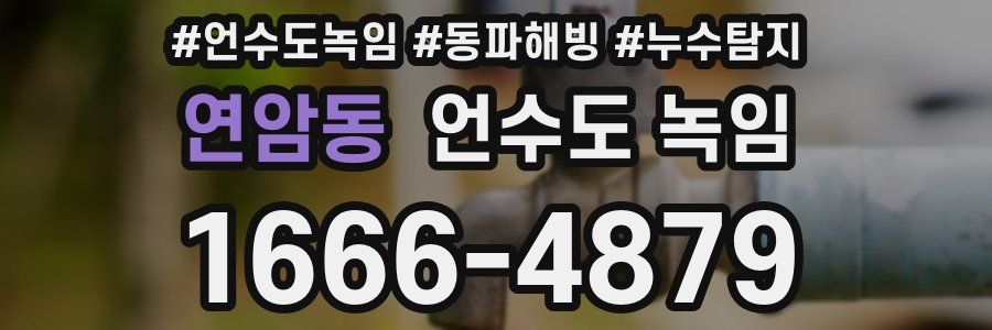 연암동 언수도 녹임