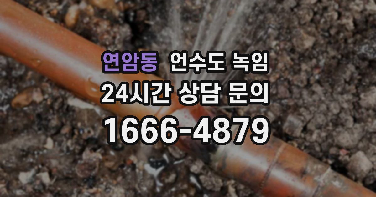 연암동 언수도 녹임