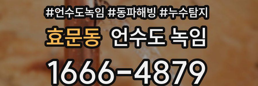 효문동 언수도 녹임