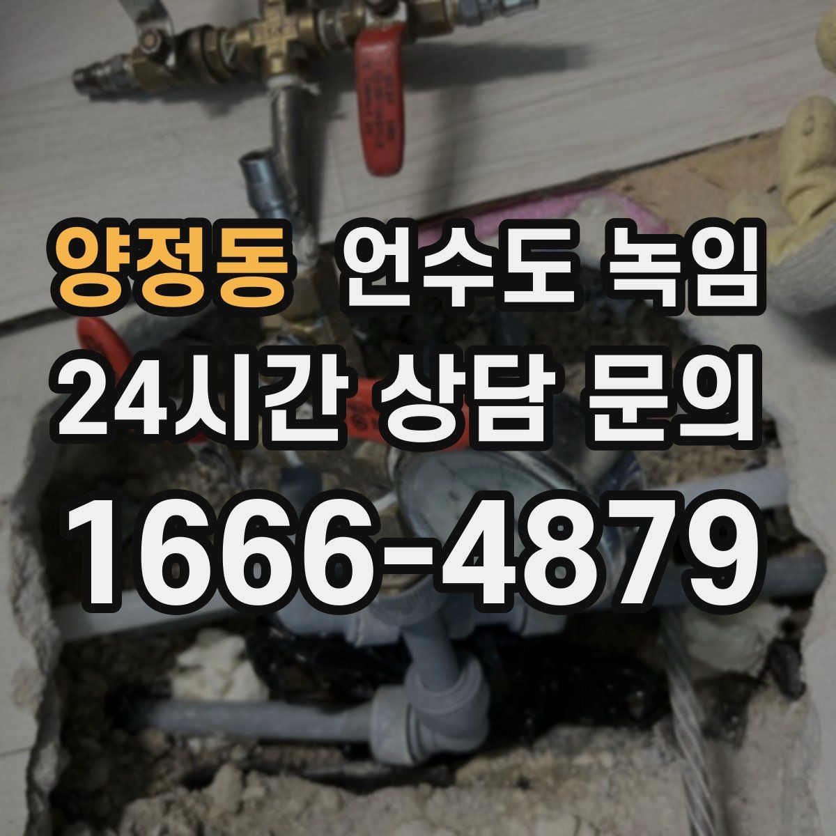 양정동 언수도 녹임