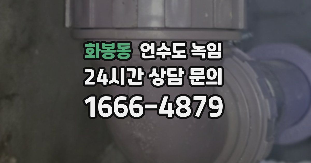 화봉동 언수도 녹임