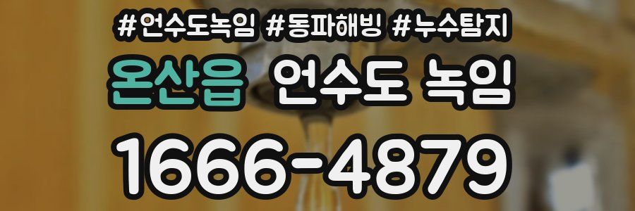 온산읍 언수도 녹임