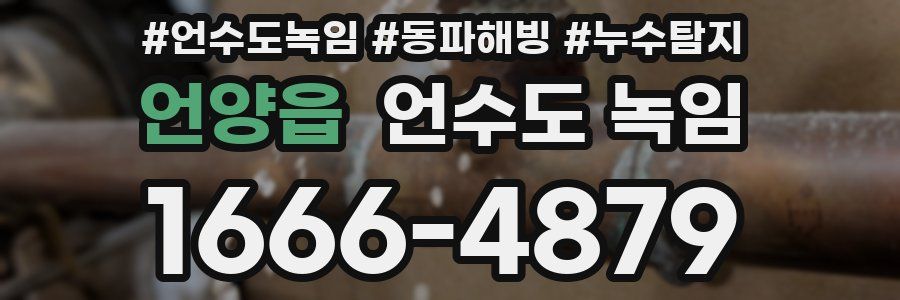 언양읍 언수도 녹임