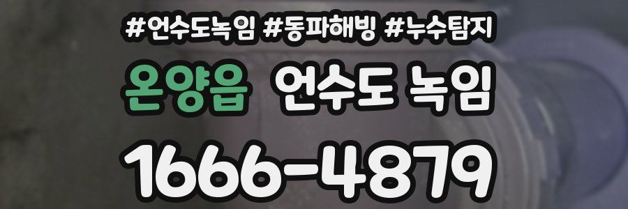 온양읍 언수도 녹임