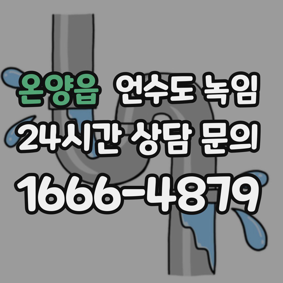 온양읍 언수도 녹임