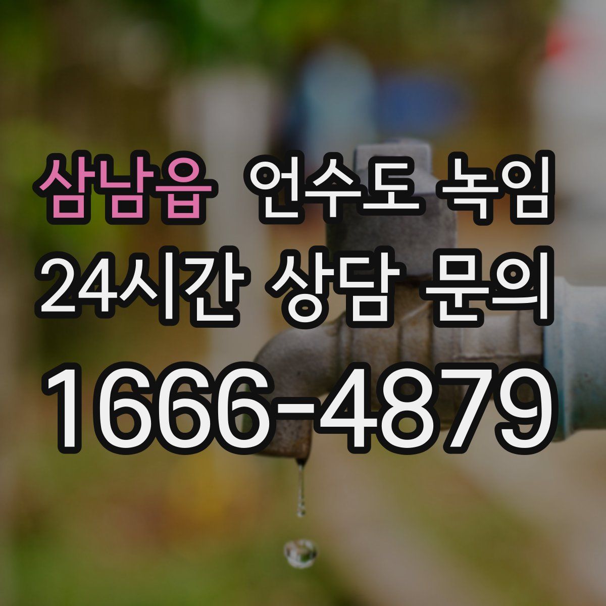 삼남읍 언수도 녹임