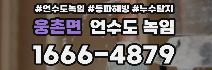 웅촌면 언수도 녹임