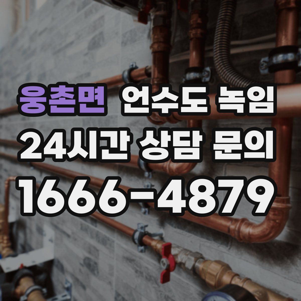웅촌면 언수도 녹임