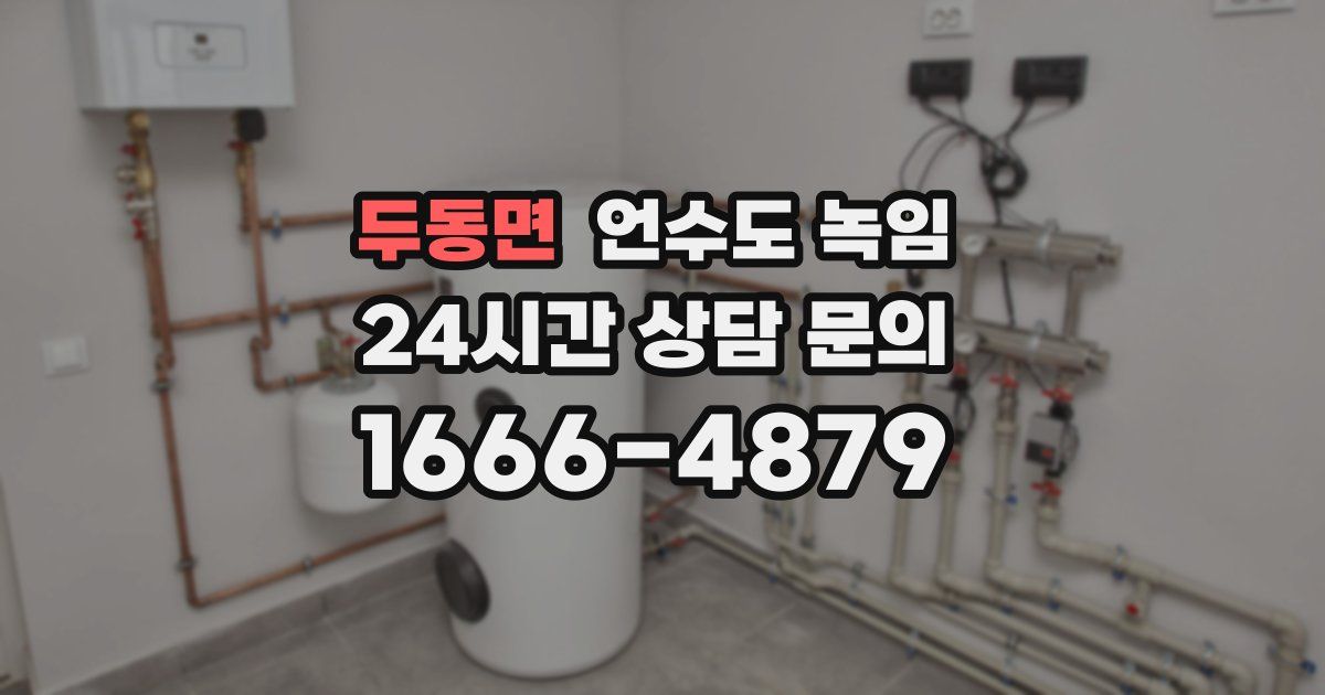 두동면 언수도 녹임