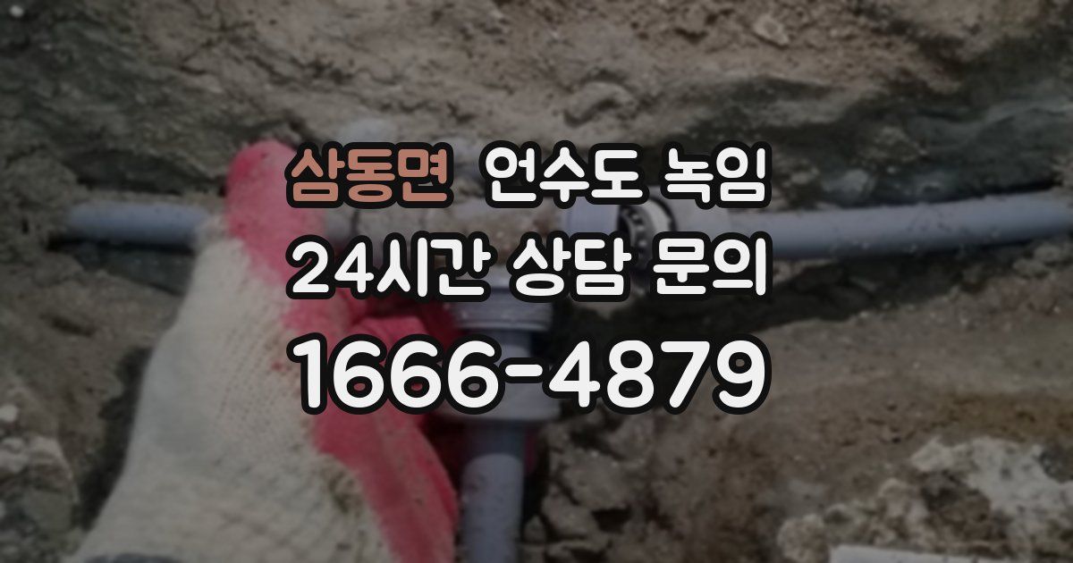 삼동면 언수도 녹임