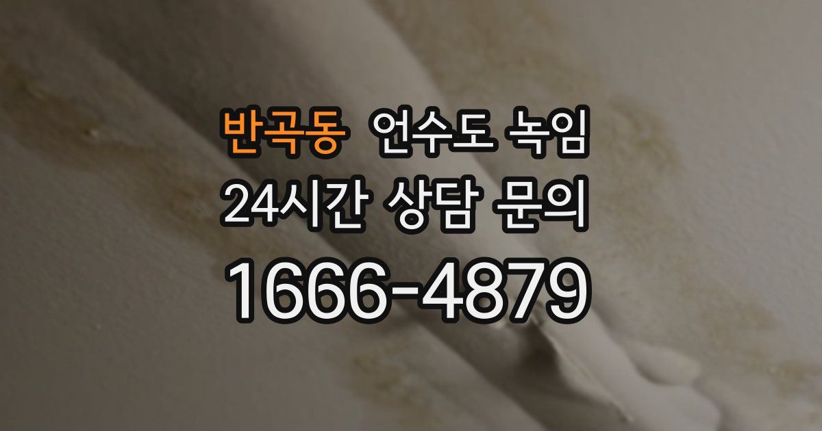 반곡동 언수도 녹임