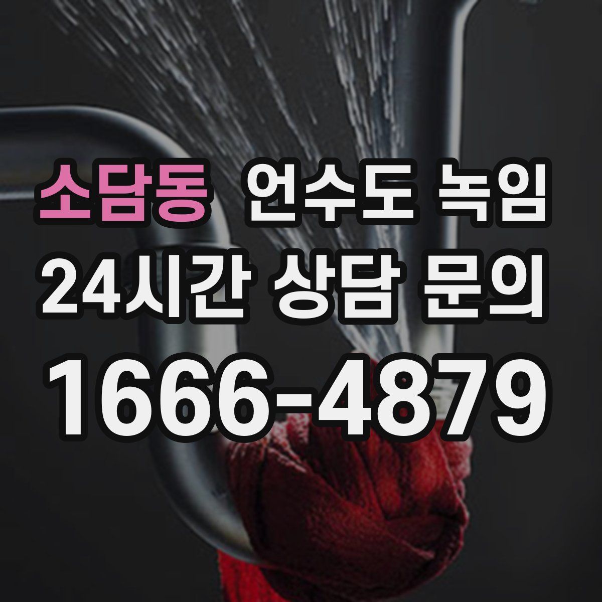 소담동 언수도 녹임