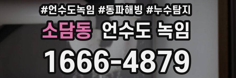 소담동 언수도 녹임