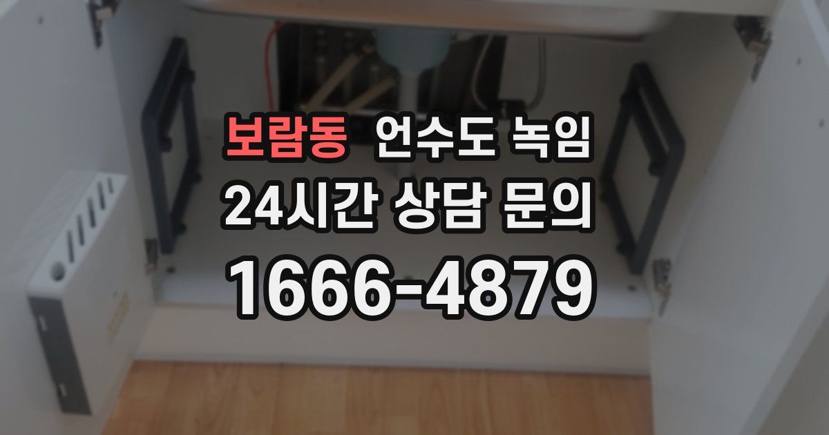보람동 언수도 녹임