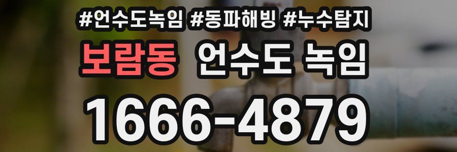 보람동 언수도 녹임