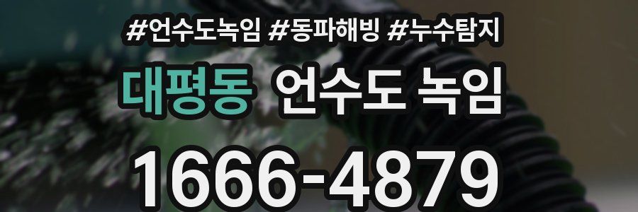 대평동 언수도 녹임