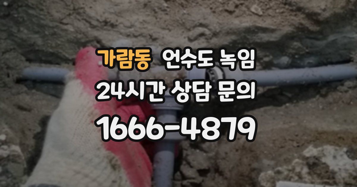 가람동 언수도 녹임