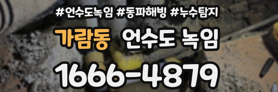 가람동 언수도 녹임