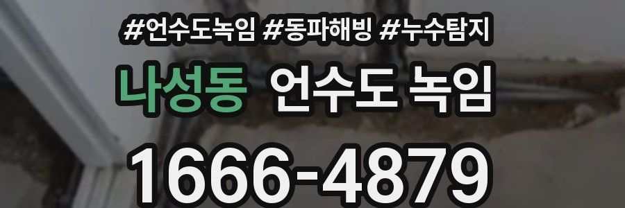 나성동 언수도 녹임