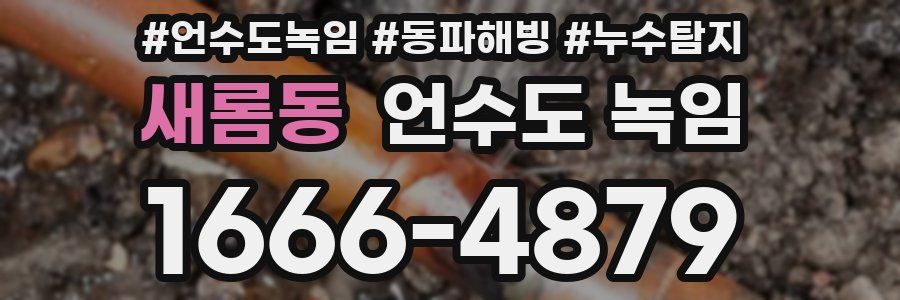 새롬동 언수도 녹임