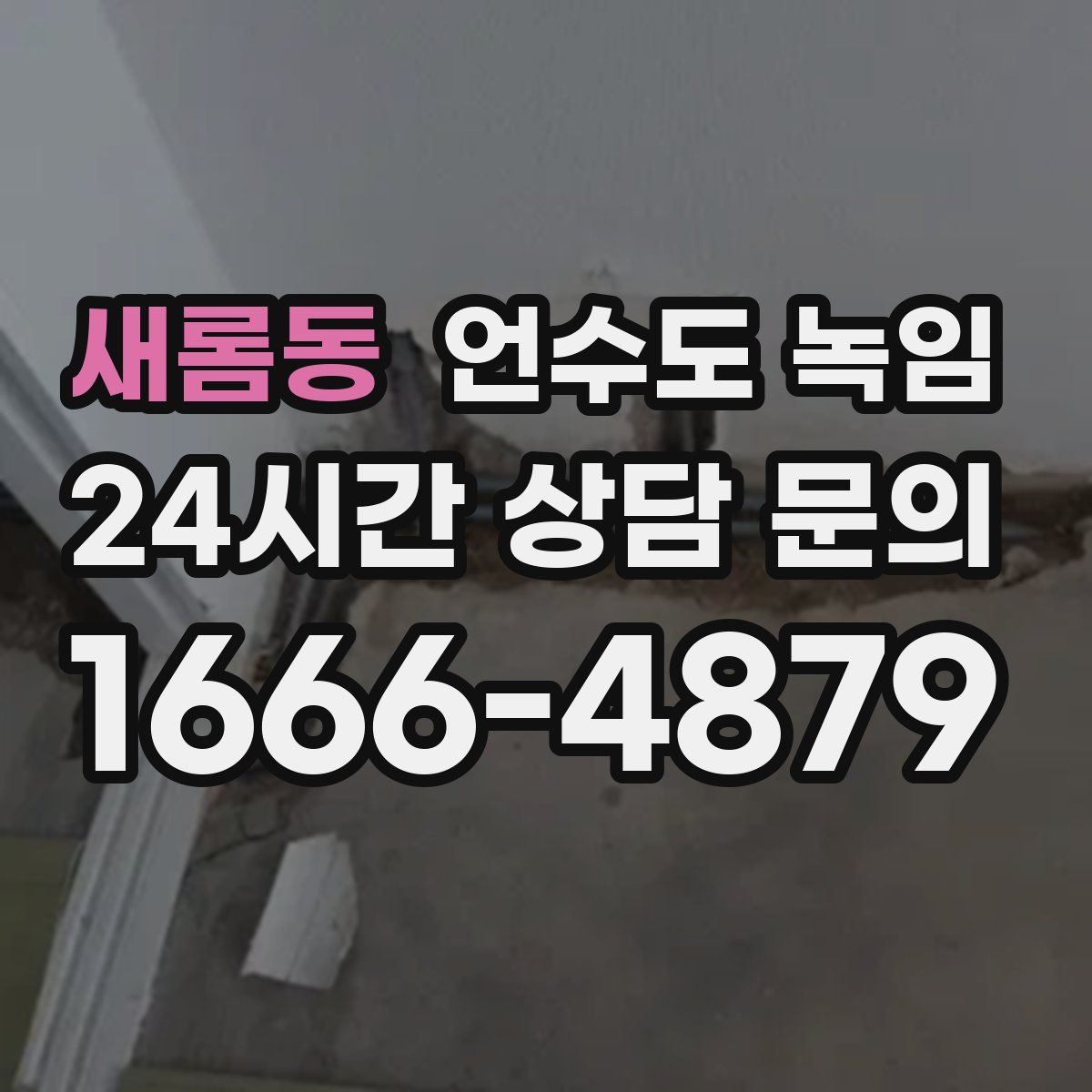 새롬동 언수도 녹임