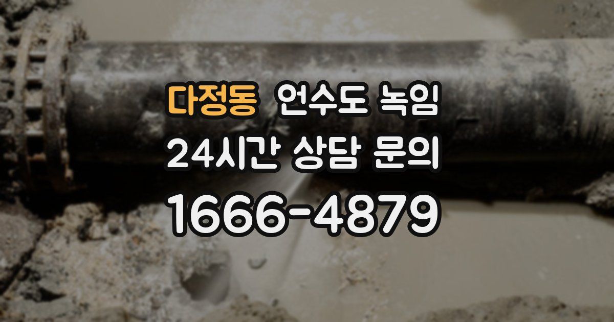 다정동 언수도 녹임