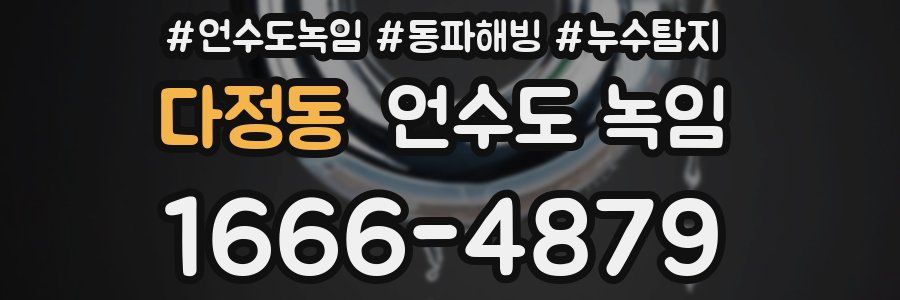 다정동 언수도 녹임