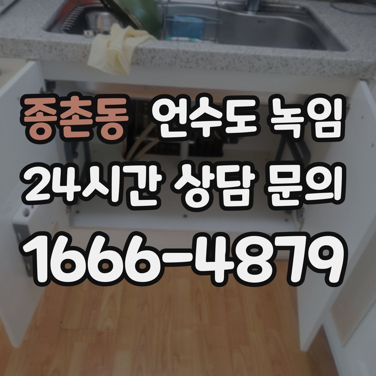 종촌동 언수도 녹임